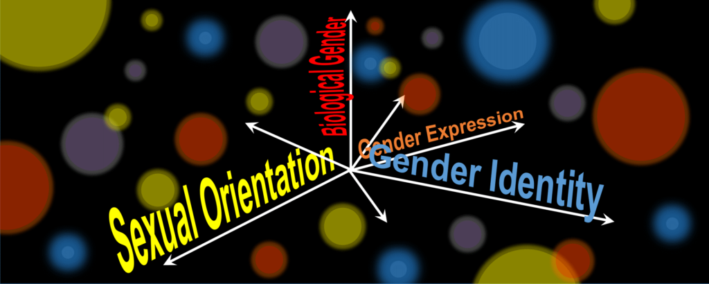 Difference between sexual orientation, gender identity
