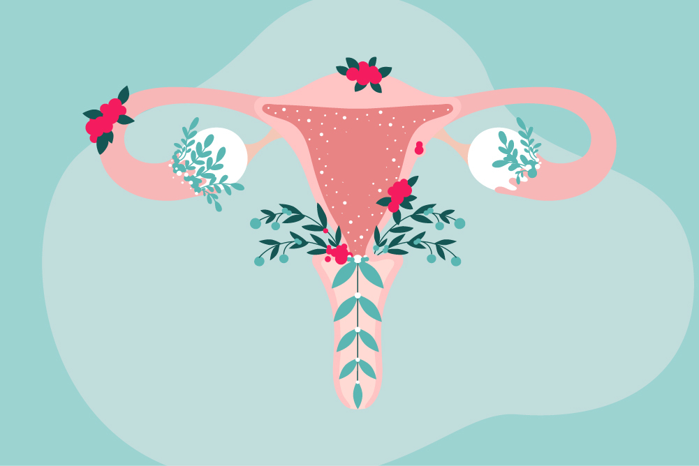 uterus, menopause