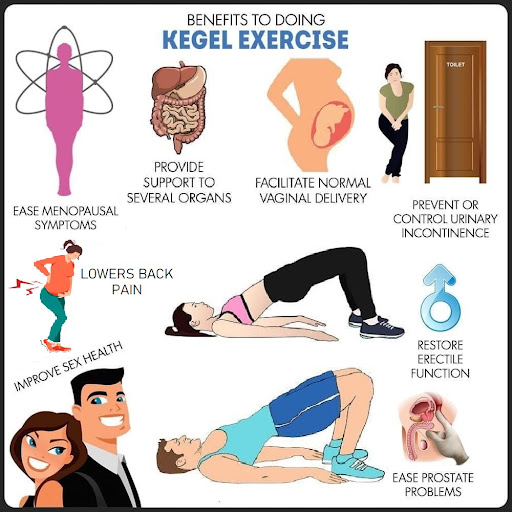 Pelvic Floor: Exercises and Benefits