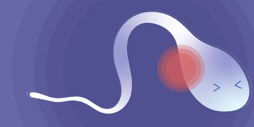 Graphic illustration of spermatozoon wincing in pain.