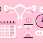 Animated graphic showing a uterus, calendar, clock, hourglass depicting menopause