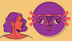 Graphic of a person presenting female and a visual diagram of the internal female sexual system.