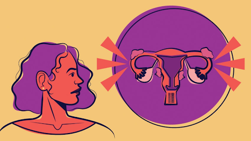 Graphic of a person presenting female and a visual diagram of the internal female sexual system.